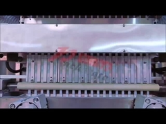 ২০ লেনের হিট সিলিং শুকনো/ আর্দ্র প্যাকিং মেশিন